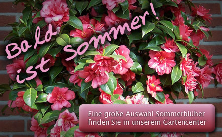 Bald ist Sommer